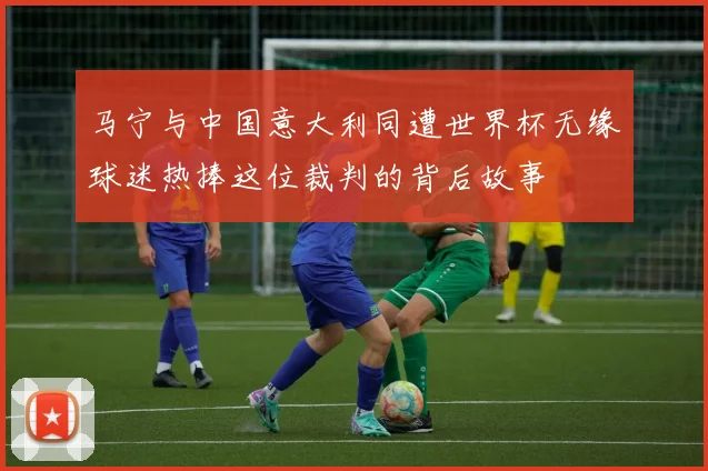马宁与中国意大利同遭世界杯无缘球迷热捧这位裁判的背后故事